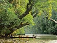 🌿🚤 Taman Negara River Cruise Review: A Jungle Adventure!