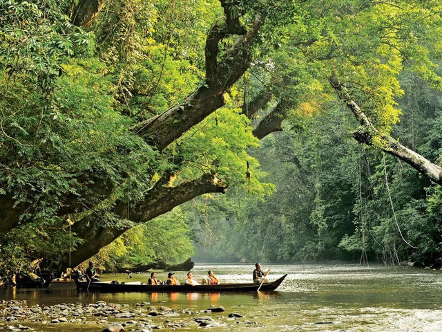 🌿🚤 Taman Negara River Cruise Review: A Jungle Adventure!