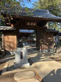 東京充滿招財貓的可愛神社—豪德寺