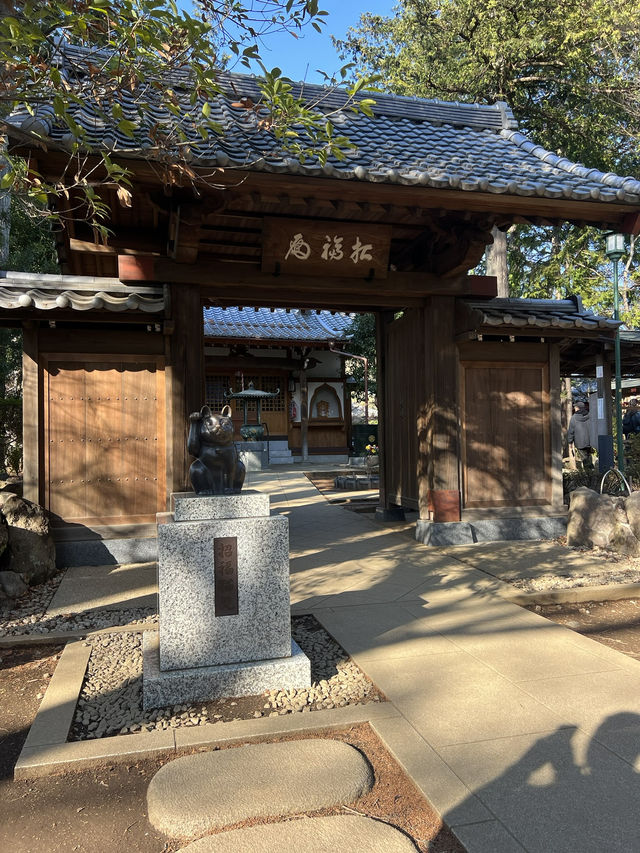 東京充滿招財貓的可愛神社—豪德寺