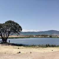 在野生動物中啜飲咖啡-Ngoitokitok Picnic Area