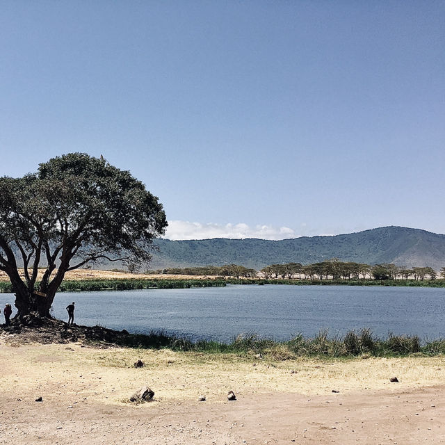 在野生動物中啜飲咖啡-Ngoitokitok Picnic Area