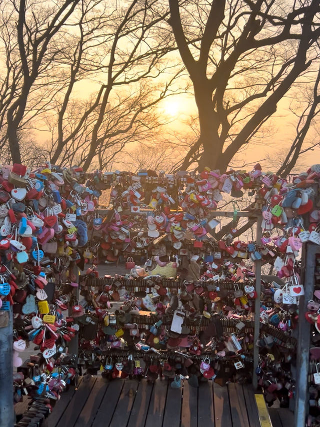 【韓国/ソウル】南山タワーを見ながらお散歩《南山公園》