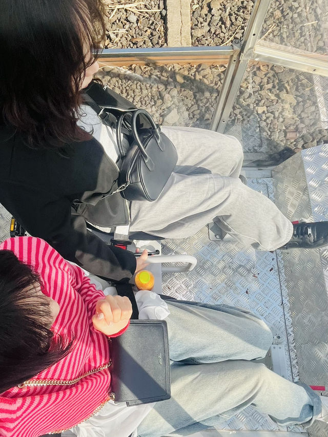 제주도 가볼만한 곳 추천 <제주레일바이크> 💛