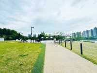 A Plaza for Every Pace