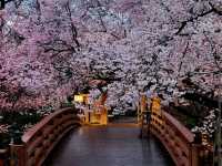 Takato Joshi Park, Nagano