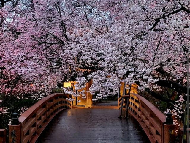 Takato Joshi Park, Nagano
