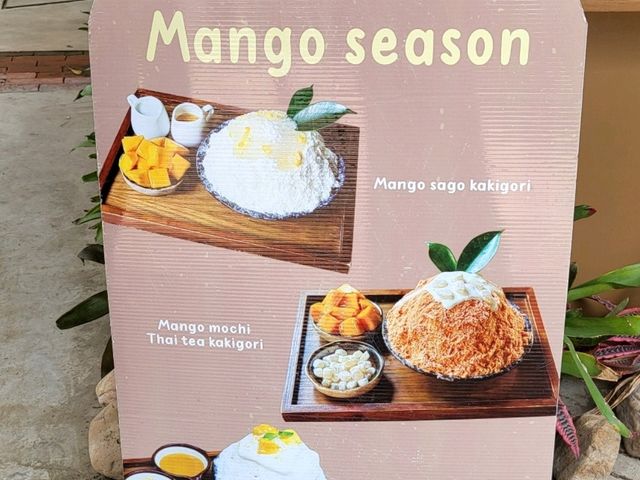 모몽가