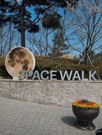 Pohang Space Walk 🇰🇷