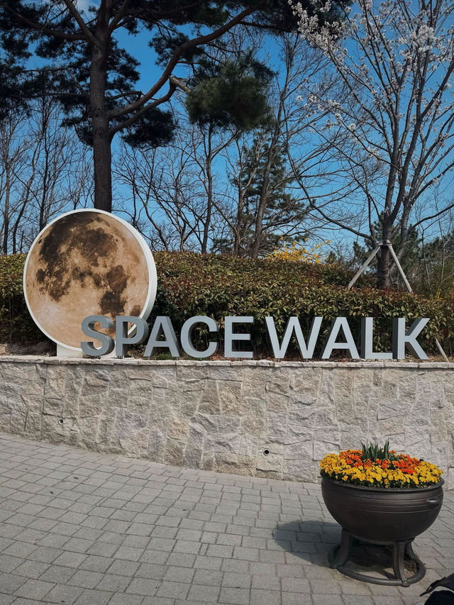 Pohang Space Walk 🇰🇷