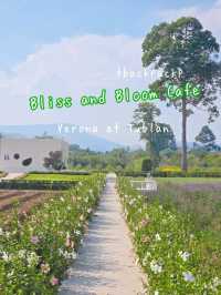 Bliss & Bloom Cafe ทุ่งดอกไม้ ใน Verona ทับลาน🌸