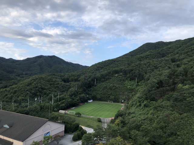 자연 속에서 쉬고, 예술을 걷고, 맛으로 마무리하는 하루 🌳