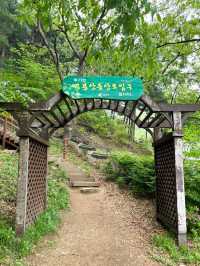 등산이 요즘 유행이래~🥾동탄 근교 가기 좋은 곳🏔️