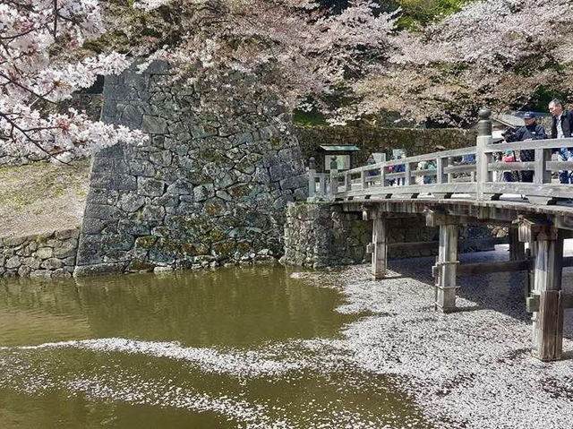 古城彥根一日遊