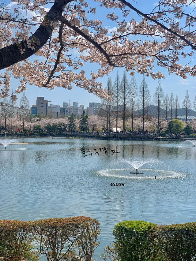 연지공원에서 가족나들이 어때 🧺🧺