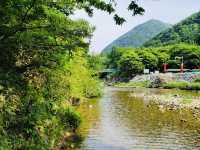 Retreat at Jangnyeongsan Natural Recreation Forest