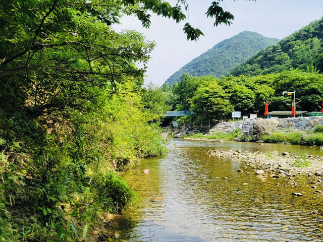 Retreat at Jangnyeongsan Natural Recreation Forest
