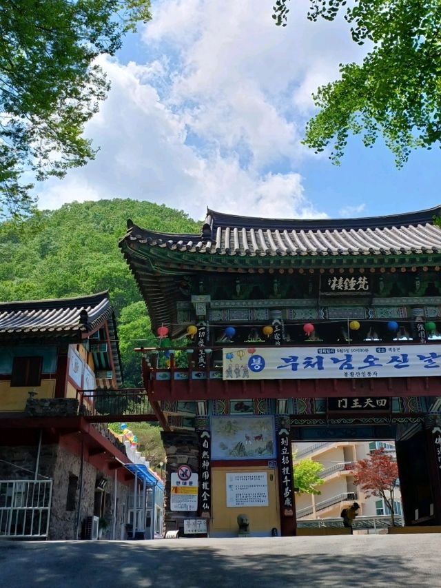 기암절벽 속으로 나들이