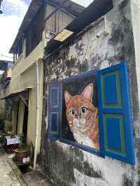 Murals catching in Georgetown