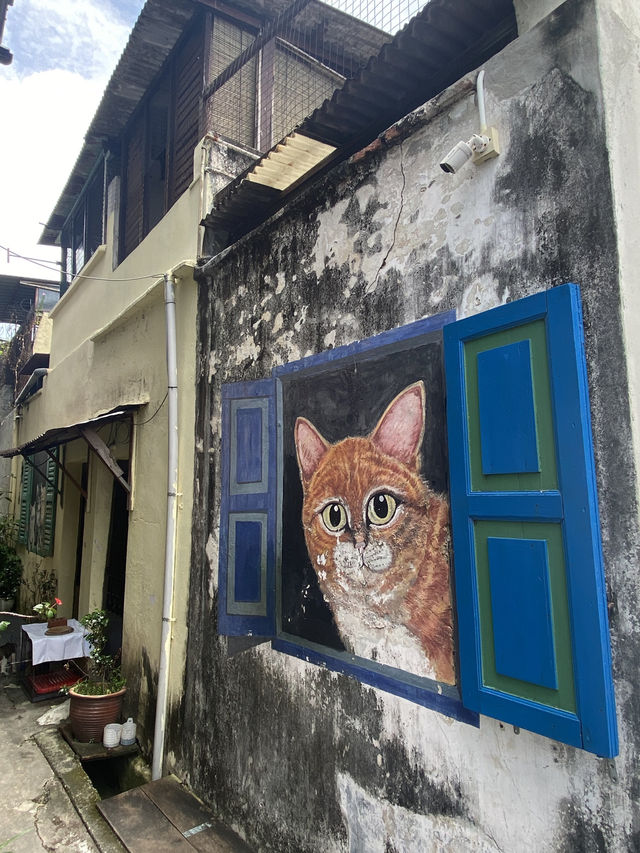 Murals catching in Georgetown