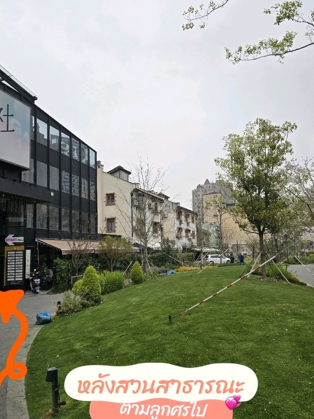 LA COUR Brunch&Bistro คาเฟ่ที่มีอาปาก้า @Shanghai 