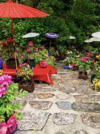 May Visit to Hase-dera Temple: A Garden of Flowers