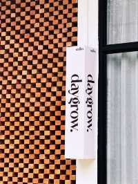 DayGrow Café : ความเรียบง่ายและความร่มรื่น