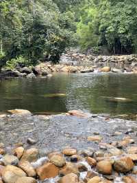 นอนข้างน้ำตก