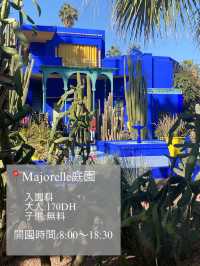 🌿🇲🇦マラケシュ旅日記📖✨