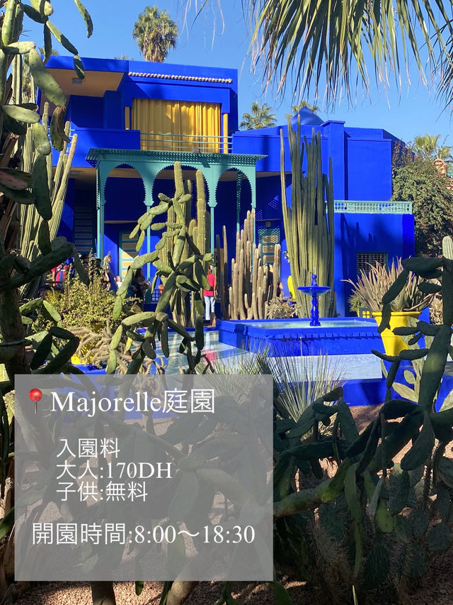 🌿🇲🇦マラケシュ旅日記📖✨