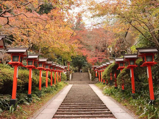 Spring and blossom in Kifune