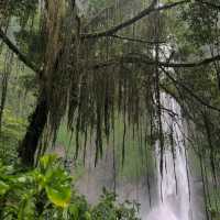 Refreshing Escape to Curug Cimahi Waterfall