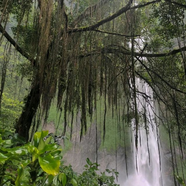 Refreshing Escape to Curug Cimahi Waterfall