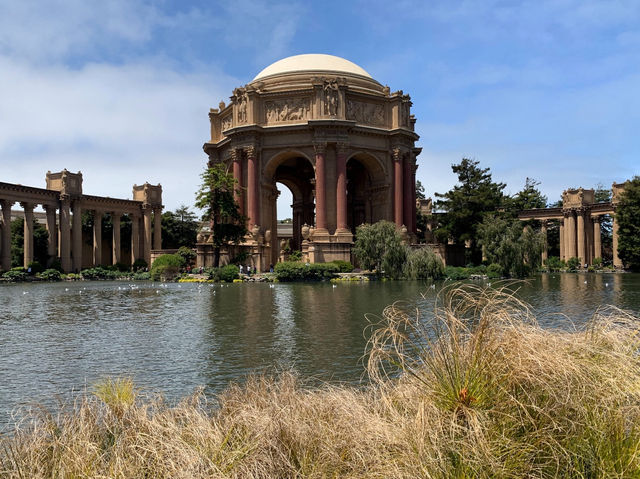 A Morning of Magic: Discovering the Palace of Fine Arts in Spring