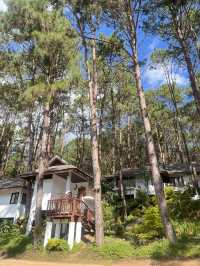 ปางอุ๋ง ทางผ่านบ้านรักไทย แต่ต้องแวะเพราะสวยจริง!
