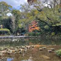 【愛知】名古屋に行ったら訪れたい日本三大神宮⛩