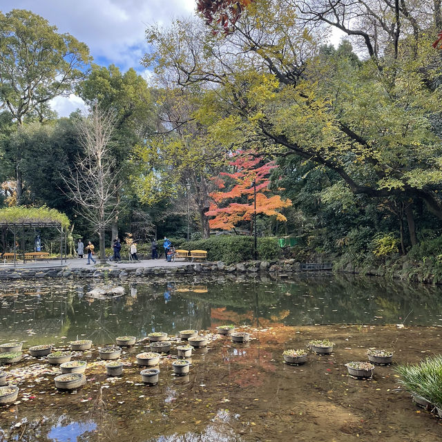 【愛知】名古屋に行ったら訪れたい日本三大神宮⛩