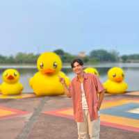 มาถ่ายรูปกับน้องเป็ดเหลือง ที่อุดรกันนน ✨🐤