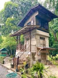 ชมวิว 360 องศาอันตระการตาของความเขียวชอุ่ม