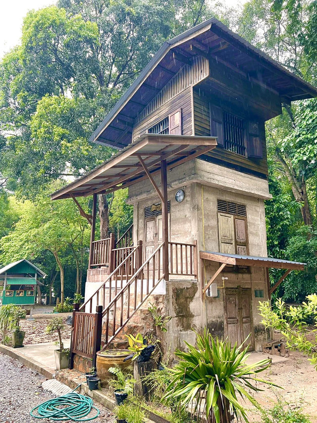 ชมวิว 360 องศาอันตระการตาของความเขียวชอุ่ม