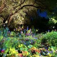 A Nighttime Wonderland: Haidian Park’s Magical Glow