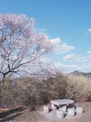Tokyo Bus Trip to Tohoku: Fukushima's Hidden Paradise