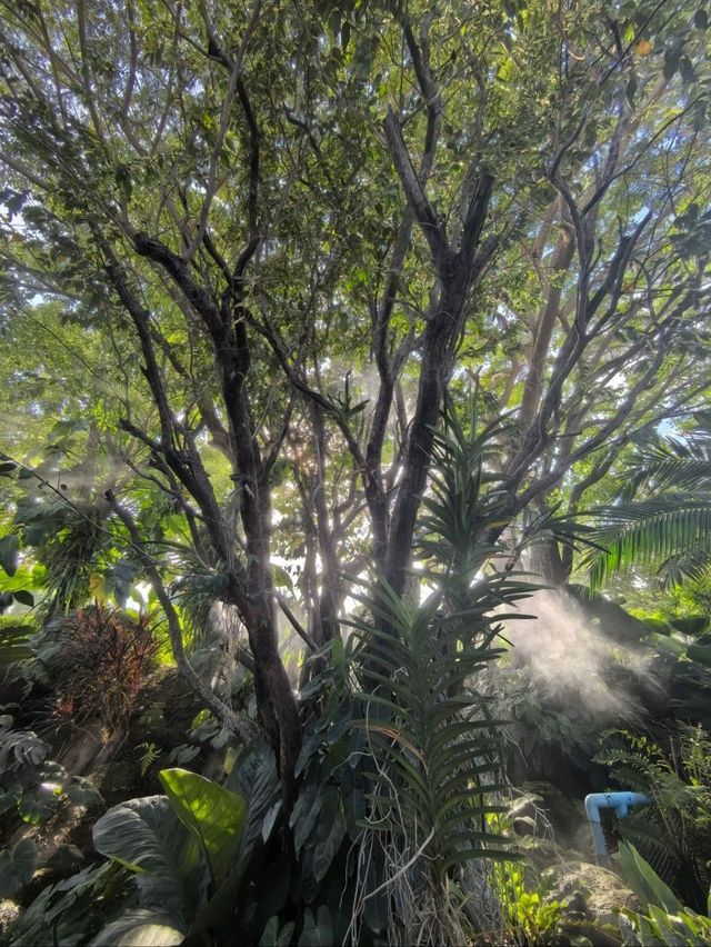 คาเฟ่ลับกลางสวนที่ตากฟ้า 
