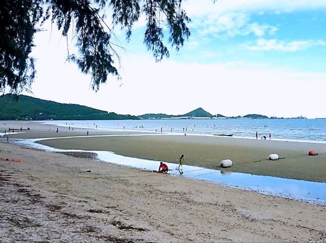 อ่าวดงตาล สัตหีบ หาดสวยน้ำใส ต้นตาลเรียงรายสวยงาม