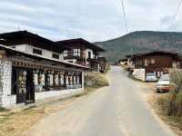 Punakha’s Fertility Temple – Where Culture Meets the Countryside