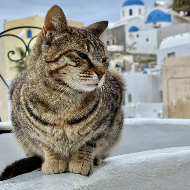 オフシーズンならではのギリシャ旅行🇬🇷