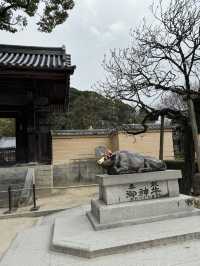 แหล่งท่องเที่ยวฟุกุโอกะ Dazaifu Tenmangu 🇯🇵