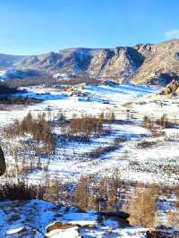 Mongolia: where every journey begins wit