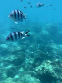 小马尔代夫之称的热浪岛Sandbank