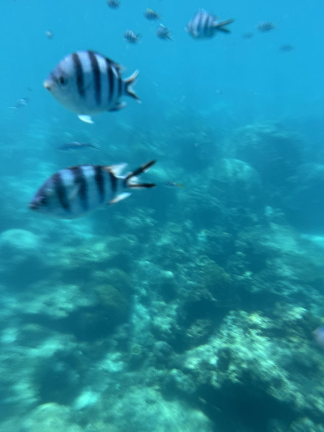 小马尔代夫之称的热浪岛Sandbank